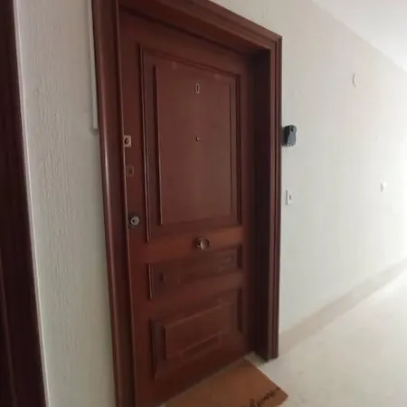 Apartment Alive -jorge Juan Alicante